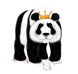 King Panda. © Ivanovich