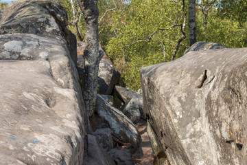 path between the rocks