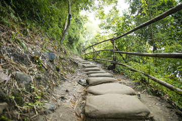 camino tropical