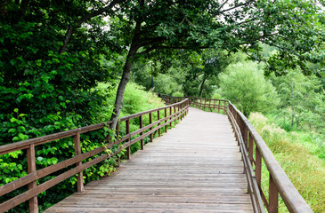 Fototapeta na wymiar Wooden footpath in a park among trees