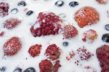 raspberries, strawberries, strawberries, blueberries in milk. the concept of a healthy summer food