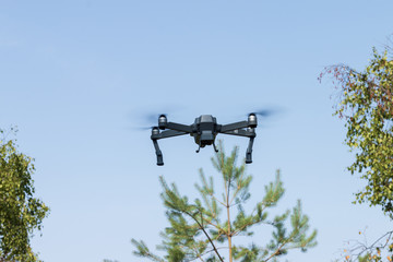 Drone flying over a pine tree