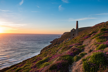 Cornish Coal mine with pink flowers