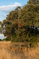 Banco de madera a la sombra de un árbol en el campo