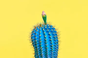 Foto op Plexiglas Blauwe Cactussen. Mode Ontwerp. Minimale stilleven. Trendy tropische print op Geel. Surrealisme. popart © evgenij918