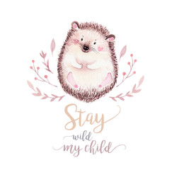 Cute baby fox, deer animal nursery bird and bear isolated illustration for children. Watercolor boho forest drawing, watercolour, hedgehog image nursery posters