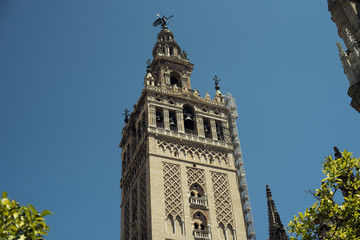 Fototapeta na wymiar Imagen contrapicada de la torre de la Giralda rodeada de naranjos, Sevilla, España. Imagen diurna con cielo despejado azul de verano.