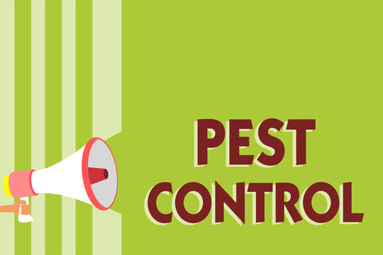 Writing note showing Pest Control. Business photo showcasing Killing destructive insects that attacks crops and livestock Megaphone loudspeaker green stripes important message speaking loud