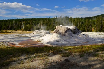 Grotto Geyser, the Upper Geyser Basin, Yellowstone National Park, Wyoming, USA