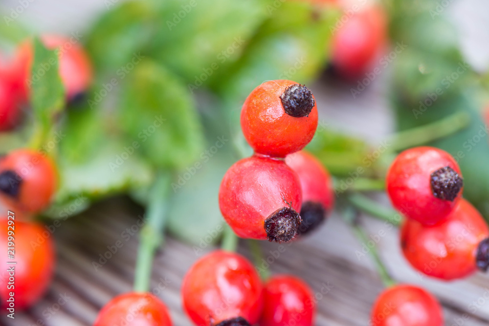 Poster rose hips on a wooden table macro