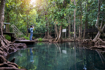 Fototapeta na wymiar Tha pom mangrove forest, Emerald pool is unseen pool in mangrove forest at krabi, Krabi, Thailand