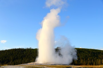 Old Faithful in Yellowstone national park, Wyoming, USA