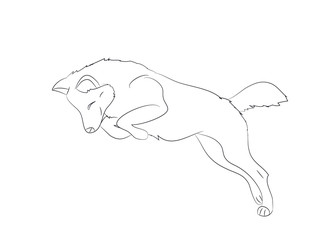 wolf runs, image lines, vector