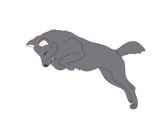 wolf runs, image color, vector