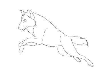 wolf runs, image lines, vector