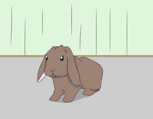 rabbit sitting in a room, vector
