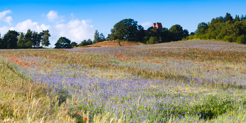 Fototapete bei efototapeten.de bestellen   