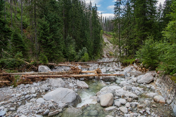 River with fallen trees after flooding