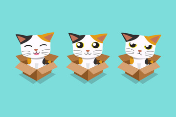 Fototapeta premium Vector cartoon illustration set of cat in cardboard box for design.