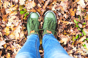 Top view on woman colorful green sneakers on a background of colorful dry autumn leaves.