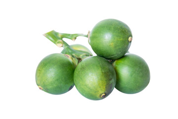 fresh betel nuts, Betel palm isolated on white background with clipping path
