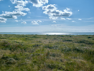 Laesoe / Denmark: View from the dune at Bloeden Hale over the coastal salt marsh and the wide and calm bay called Bovet Bugt