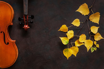 Fototapeta na wymiar Two violins and birch branch with yellow autumn leaves. Top view, close-up on dark vintage background