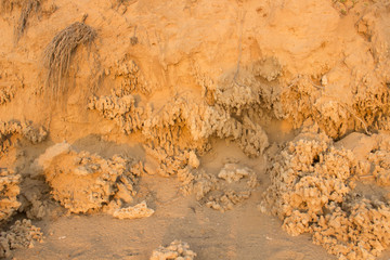 Interesting structures created by the wind from the sand on the Mediterranean coast