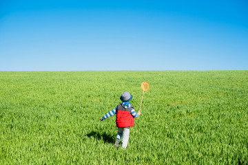 Little boy with a butterfly net in hand runs across the green field.