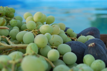Fruit at pool
