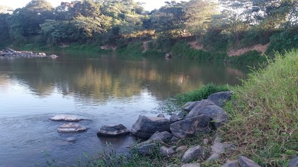 Calm river