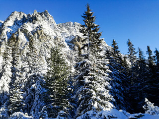 The winter in the mountains