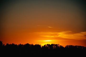 Fototapeta na wymiar Summer evening sunset in a field. Russian landscapes. A natural phenomenon. Orange sky. Summer evening