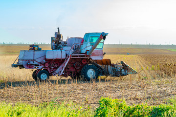 Obraz premium Harvester on the field mowing sowing, collects autumn harvest.