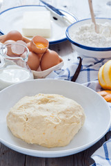 Raw Brioche Dough with Vanilla and Orange zest