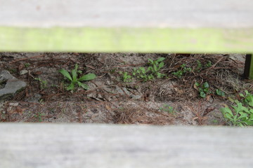 Stair