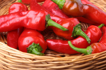 Wicker basket full of fresh red chili peppers.