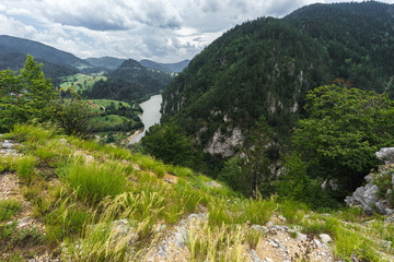 Landscape view of Zaovine and  Spajici lake from the height, and the river Beli Rzav in Tara national park in Serbia in summer day