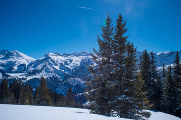 Aussicht auf die Berge im Simmental - Lenk