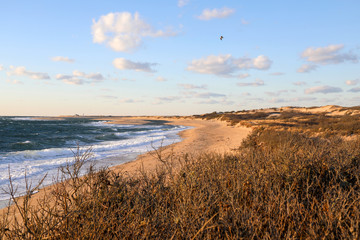 Provincetown beach