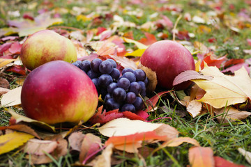 Delisious autumn fruit such as apples and grape lying on the ground among fallen leaves