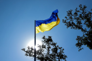 Ukrainian flag. Yellow blue Ukrainian flag on the background of the sky. Ukraine's Independence Day. National symbol in the rays of the sun