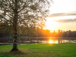 Evening with birch by the water at sunset. Natural evening background.
