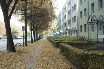 Obraz premium East Berlin suburb residential blocks in a row in the autumn