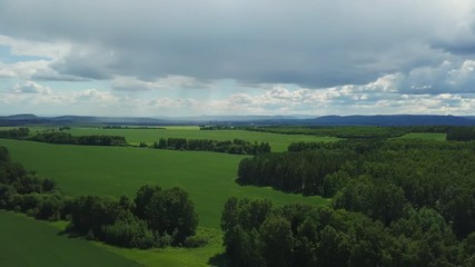Beautiful drone footage of the field and forest in Russia
