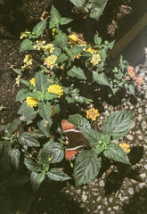 nature sky life water network facebook photo xxx