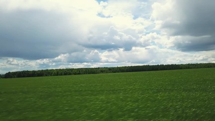Beautiful drone footage of the green field with the forest on the background