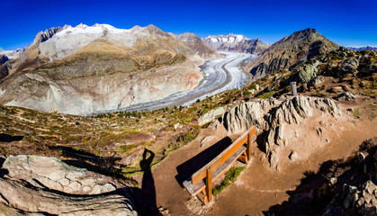 Aletsch Glacier in the Swiss Alps