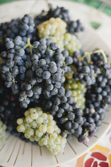 Close up view of wine grape bunch on a white plate