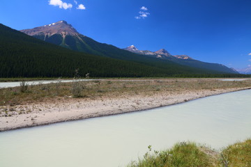 Riviere Athabasca